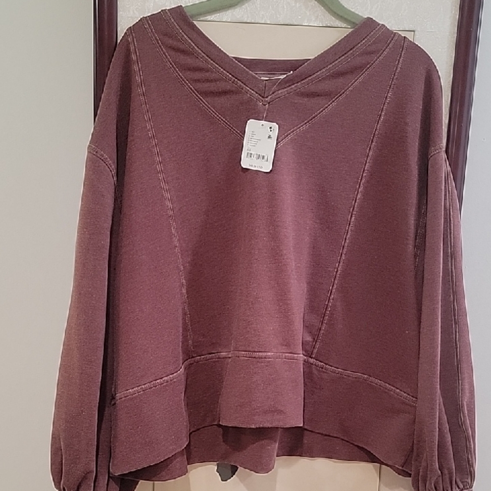 Free People Plum V-Neck Hoodie